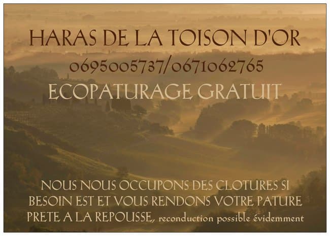 affiche ecopaturage
