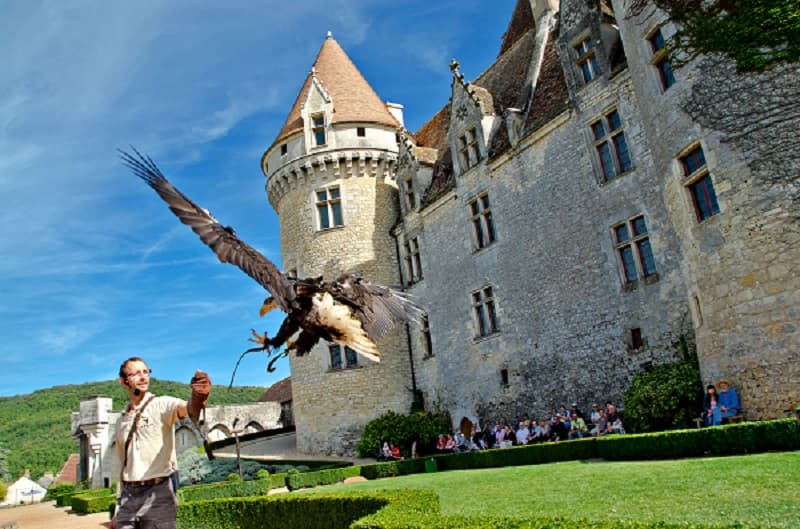 Les milandes_aigle_web