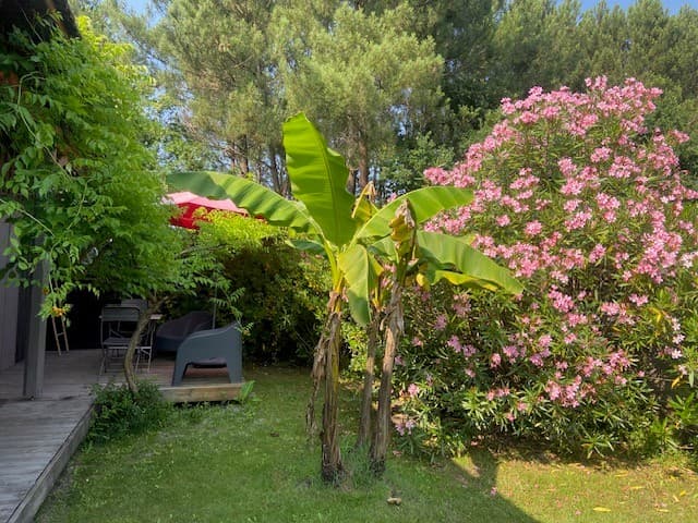 jardin ©l'air du temps