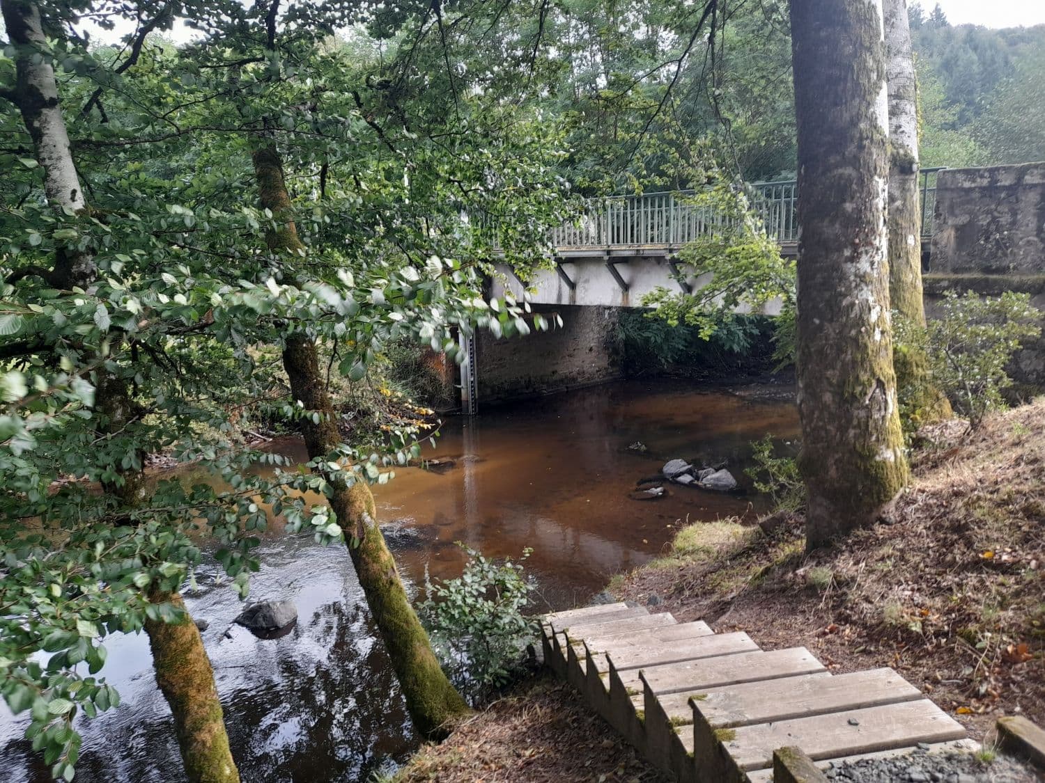 aire pique nique Soudaine lavinadière