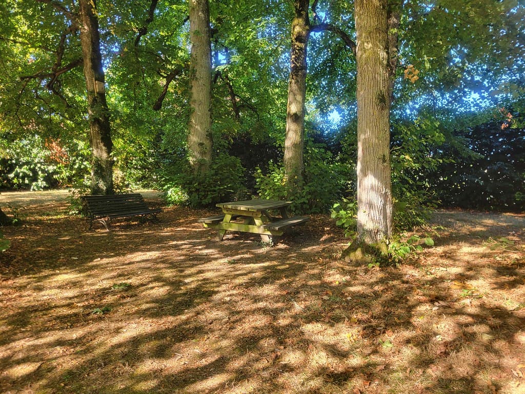 aire-pique-nique-parc-mignauderie-mairie-de-maulon-1_54705290321_l