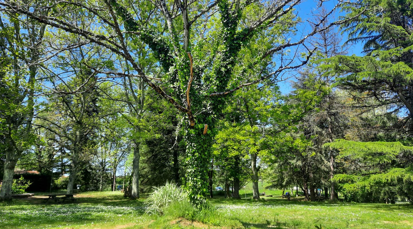 aire pique-nique parc voulgre mussidan tourisme vallee isle 2025