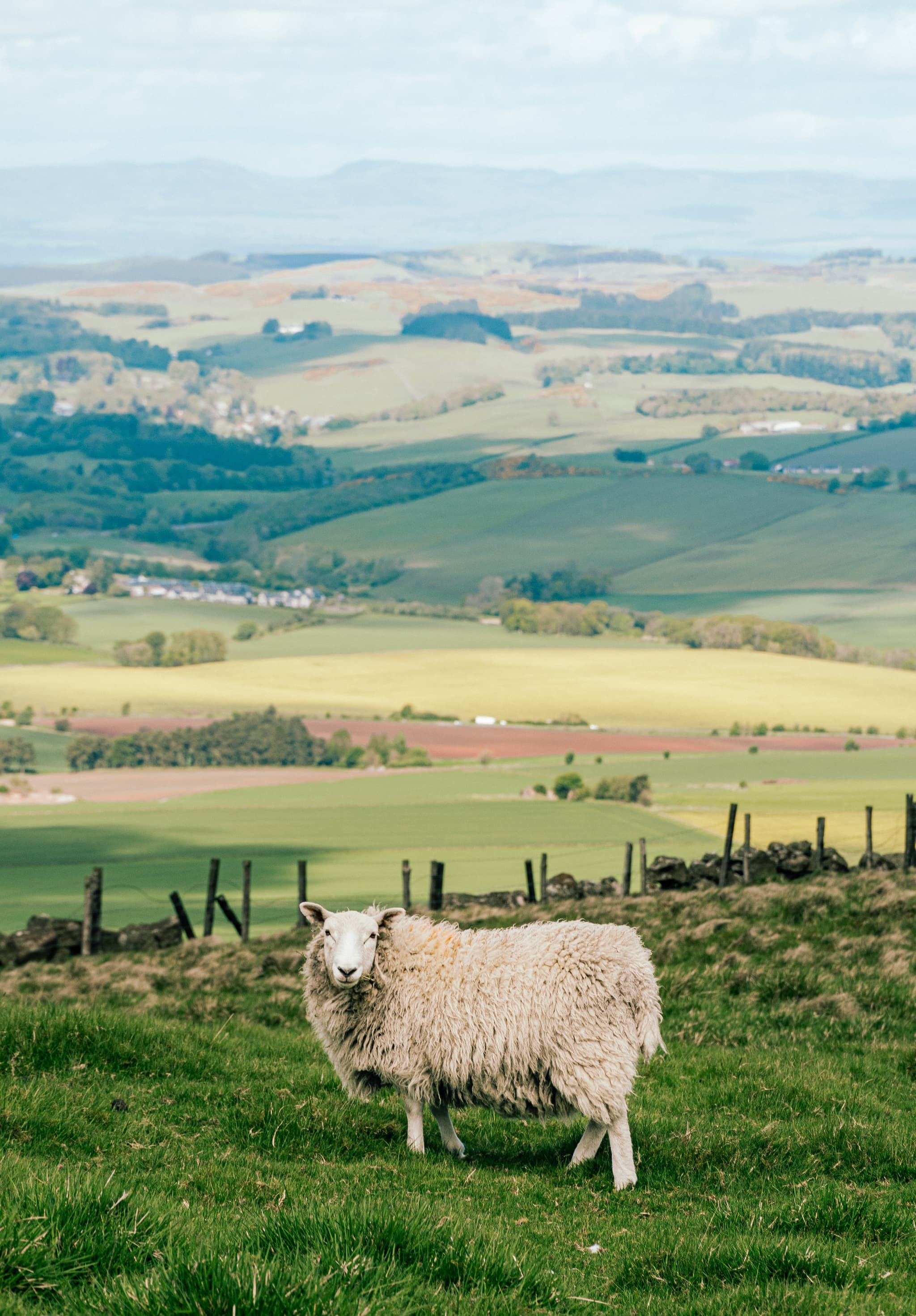 alan_frijns-scotland-7264042_1