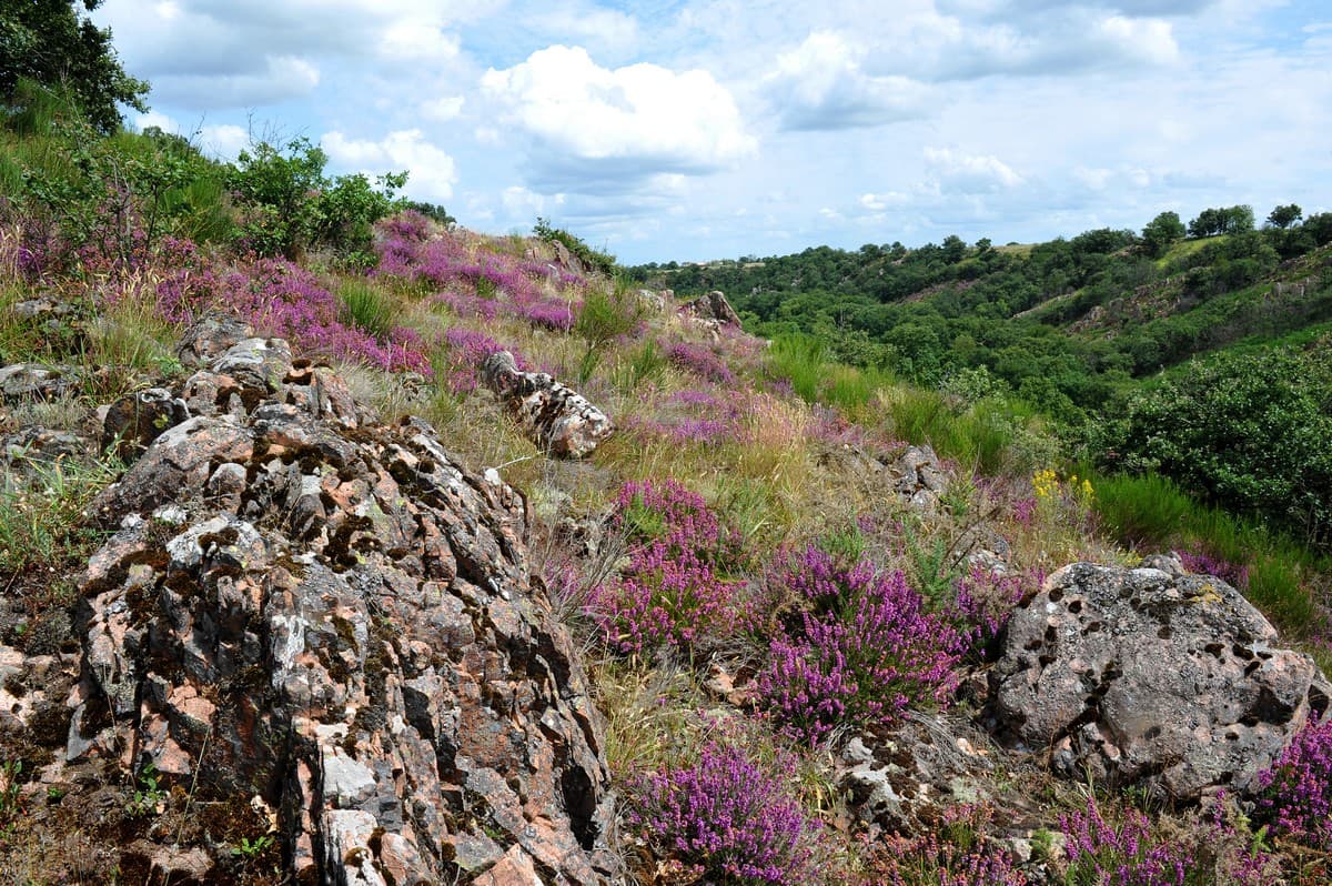 argentonnay-1