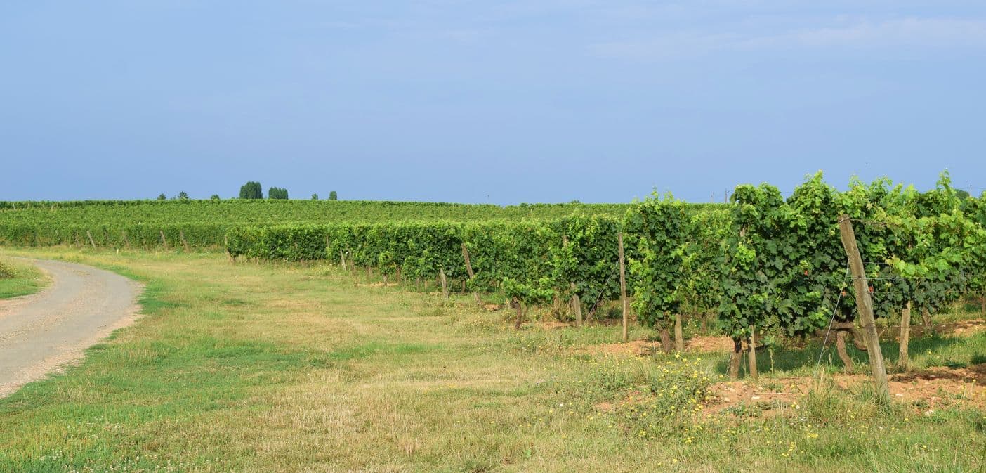 auour_velines-chateau_tuquet_monceau (56)-2