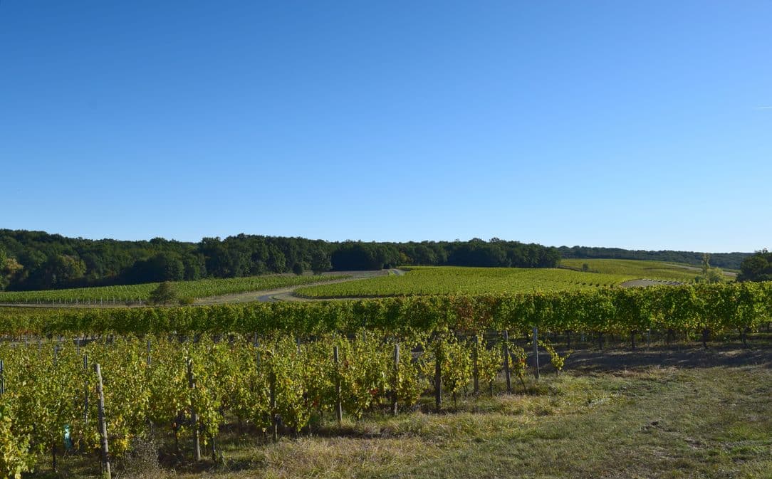 autour_issigeac-clos_le_joncal (57)-2
