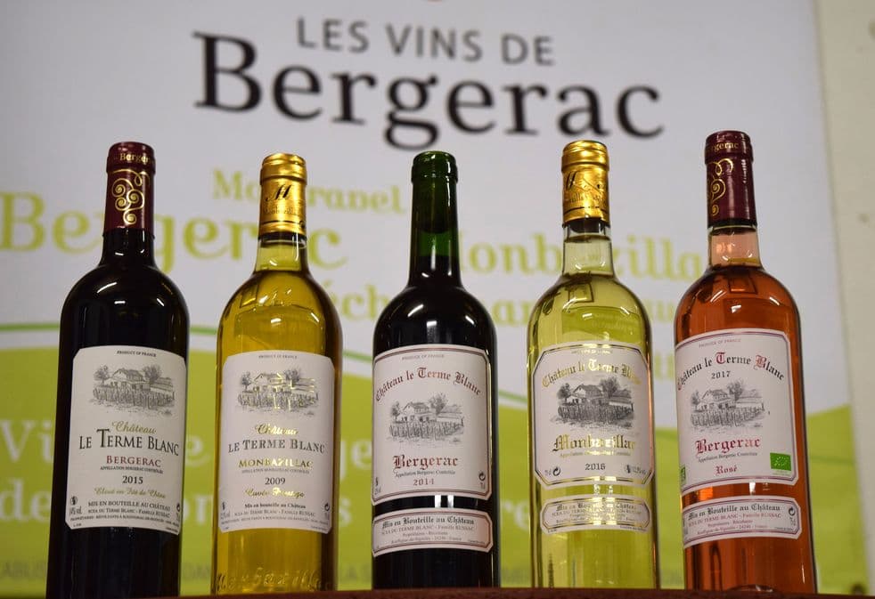 autour_monbazillac-chateau_le_terme_blanc (41)-2