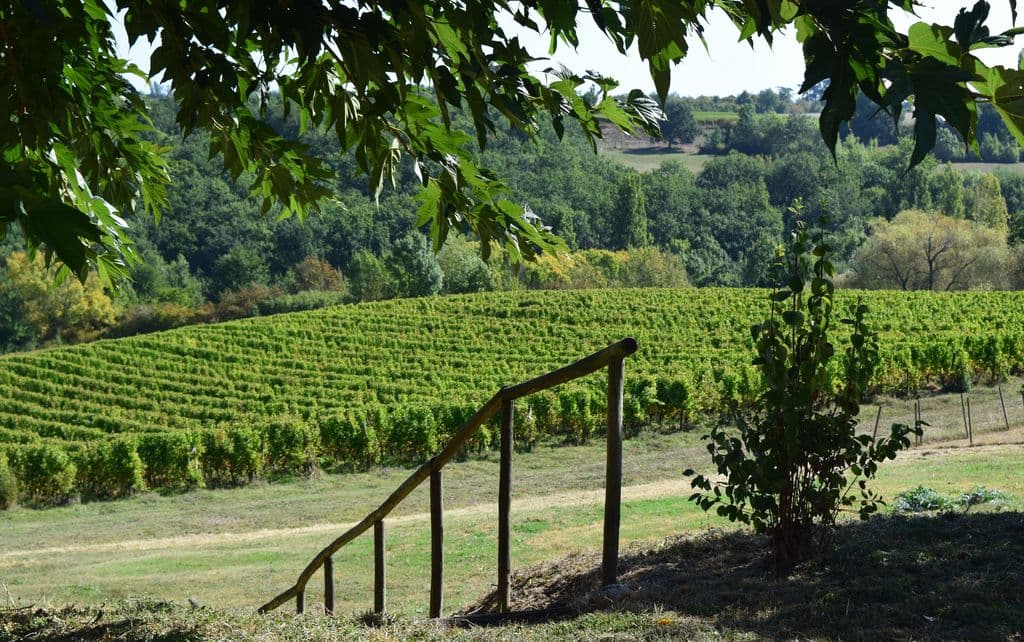 autour_saussignac-chateau_le_tap (84)-2