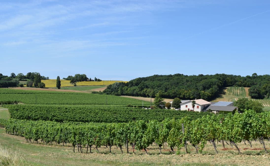 autour_saussignac-chateau_les_brandeaux (91)-2