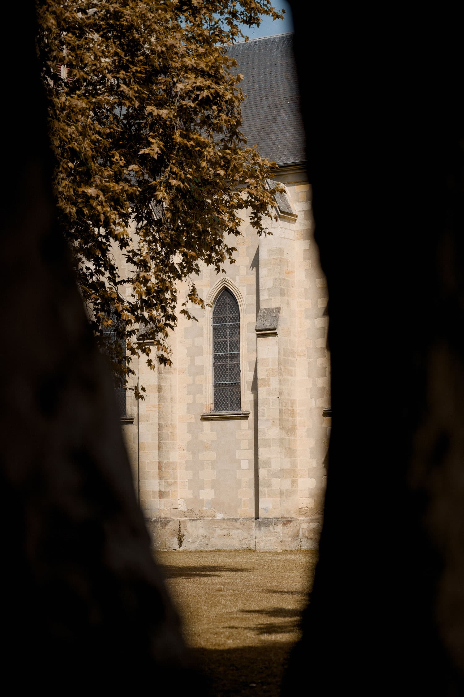 secret-de-la-pigne-dor