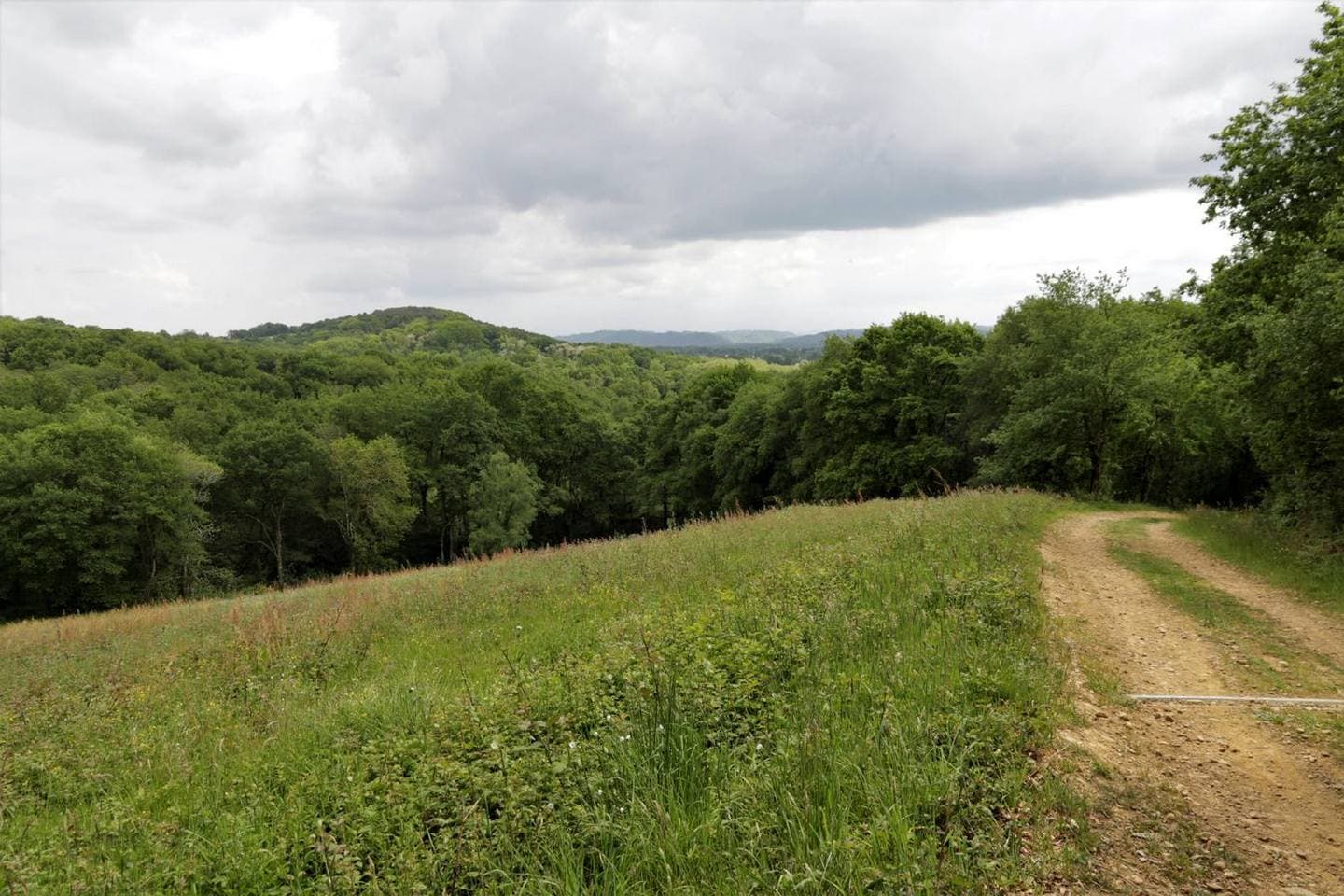 Aire de pique- nique - Beyrie en Béarn - le site 4