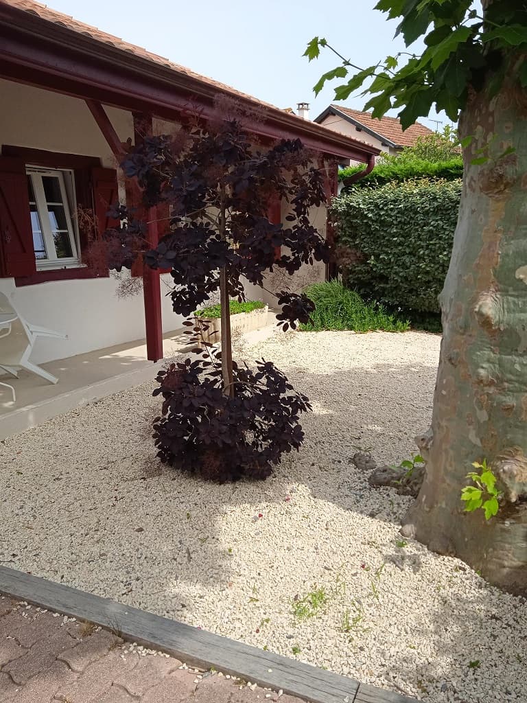 Maison Amunzateguy_Vieux-Boucau_Landes Atlantique Sud