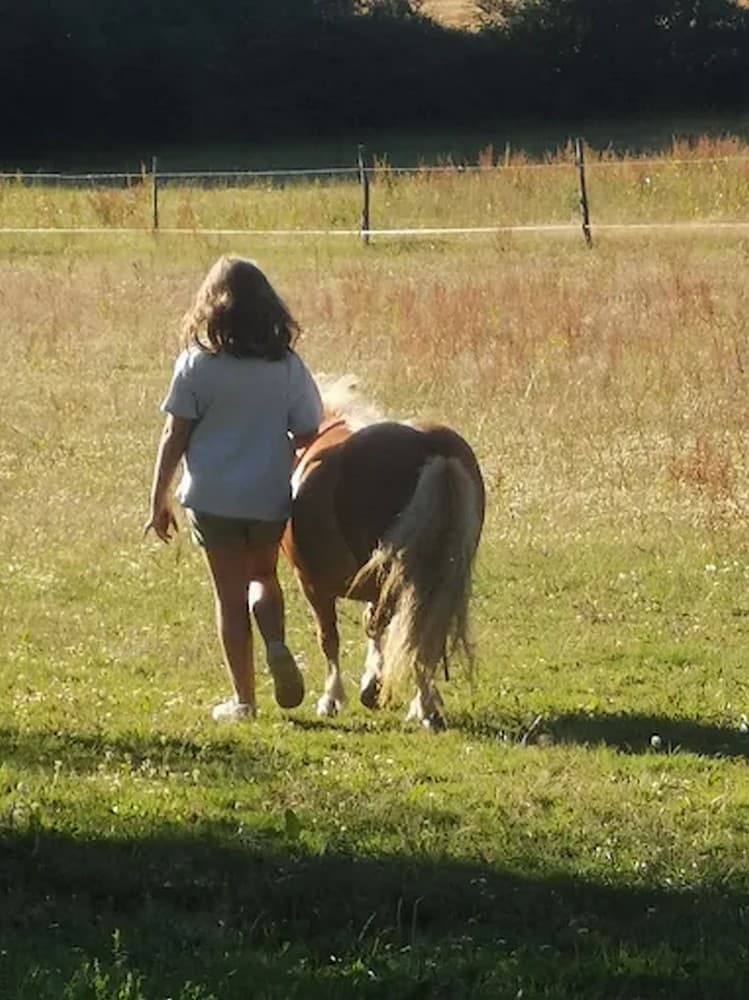 boisme-le-logis-du-poiron-poney