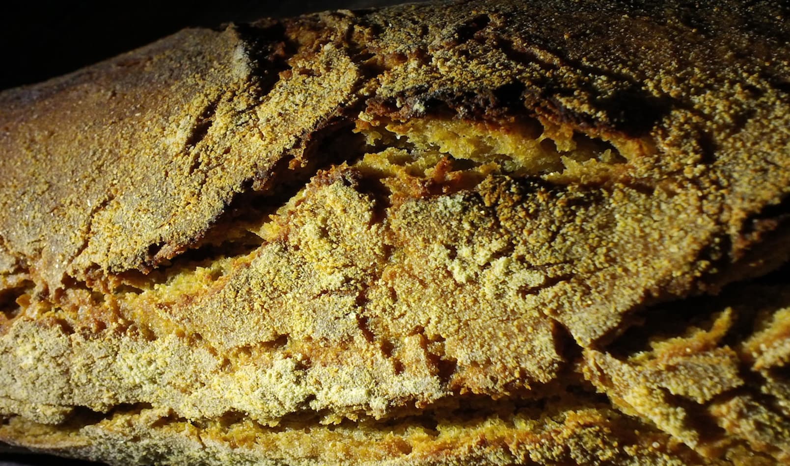 boulangerie_pain_barcus_paysbasque