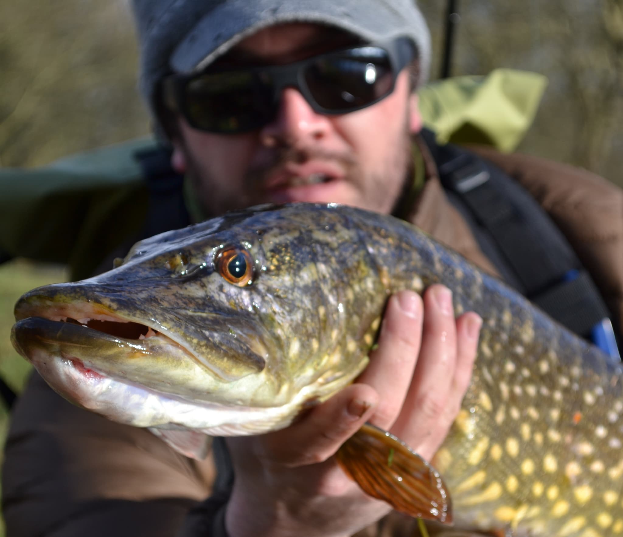 brochet_8