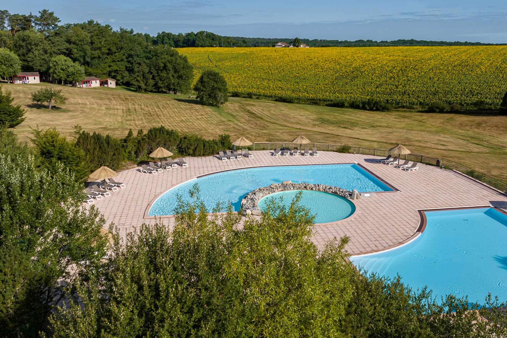 camping - la foret enchantee (6)