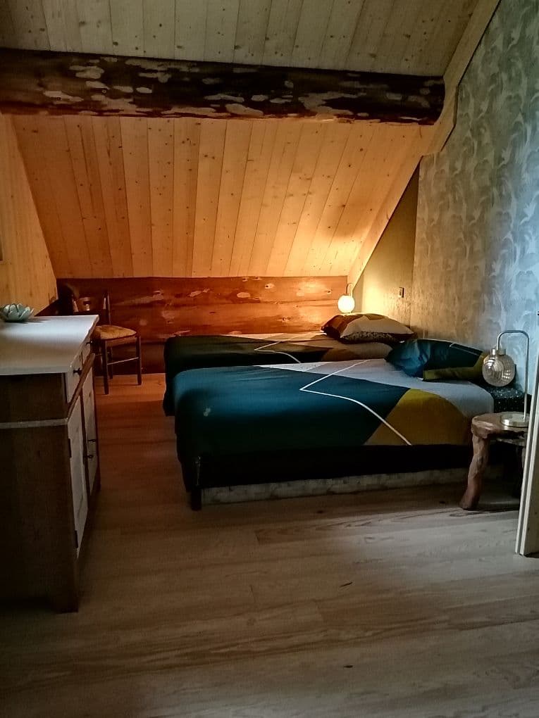 chambre" grenouille fraise"