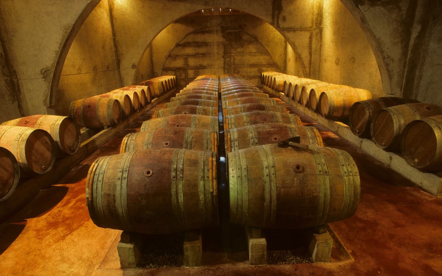 Domaine Etienne Brana - Barriques - Saint Jean Pied de Port
