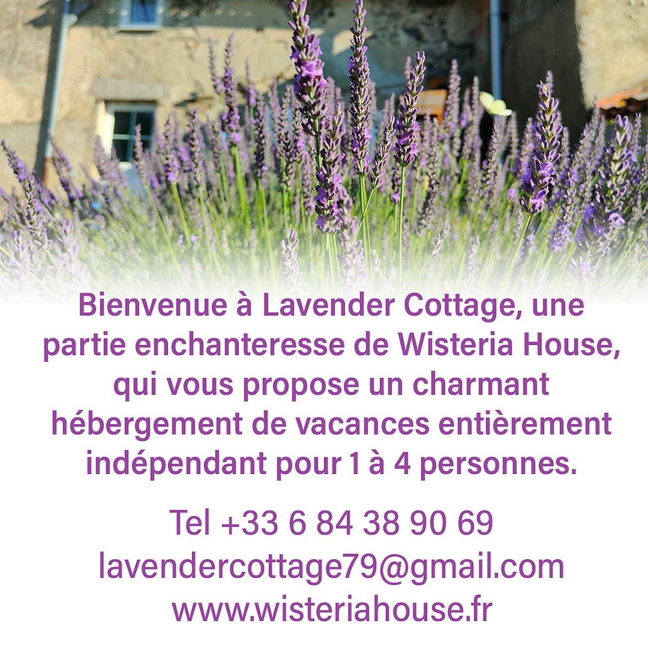 chanteloup-gite-lavender-cottage