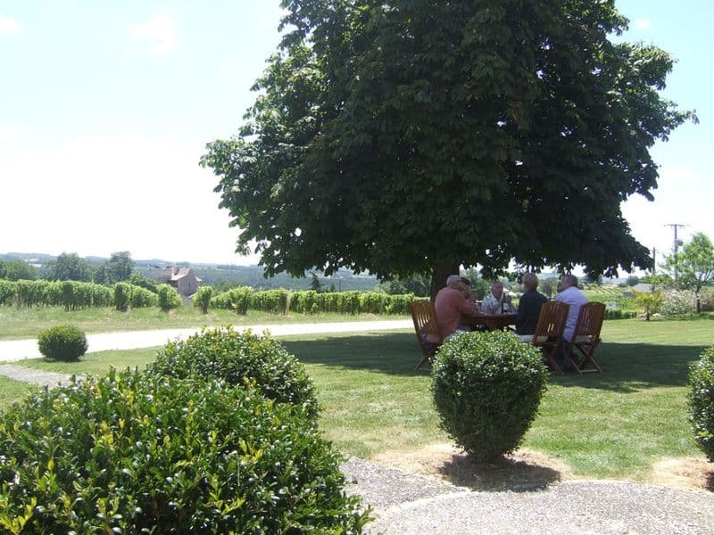 chateau-du-haut-pezaud (9)