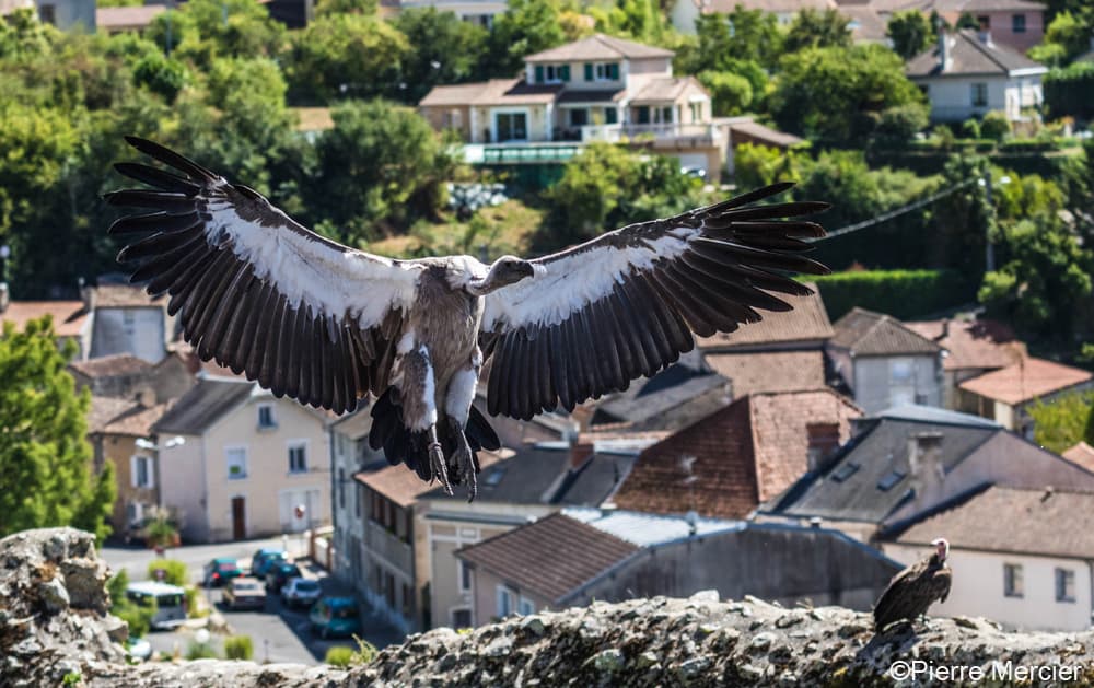 Géants du Ciel_8