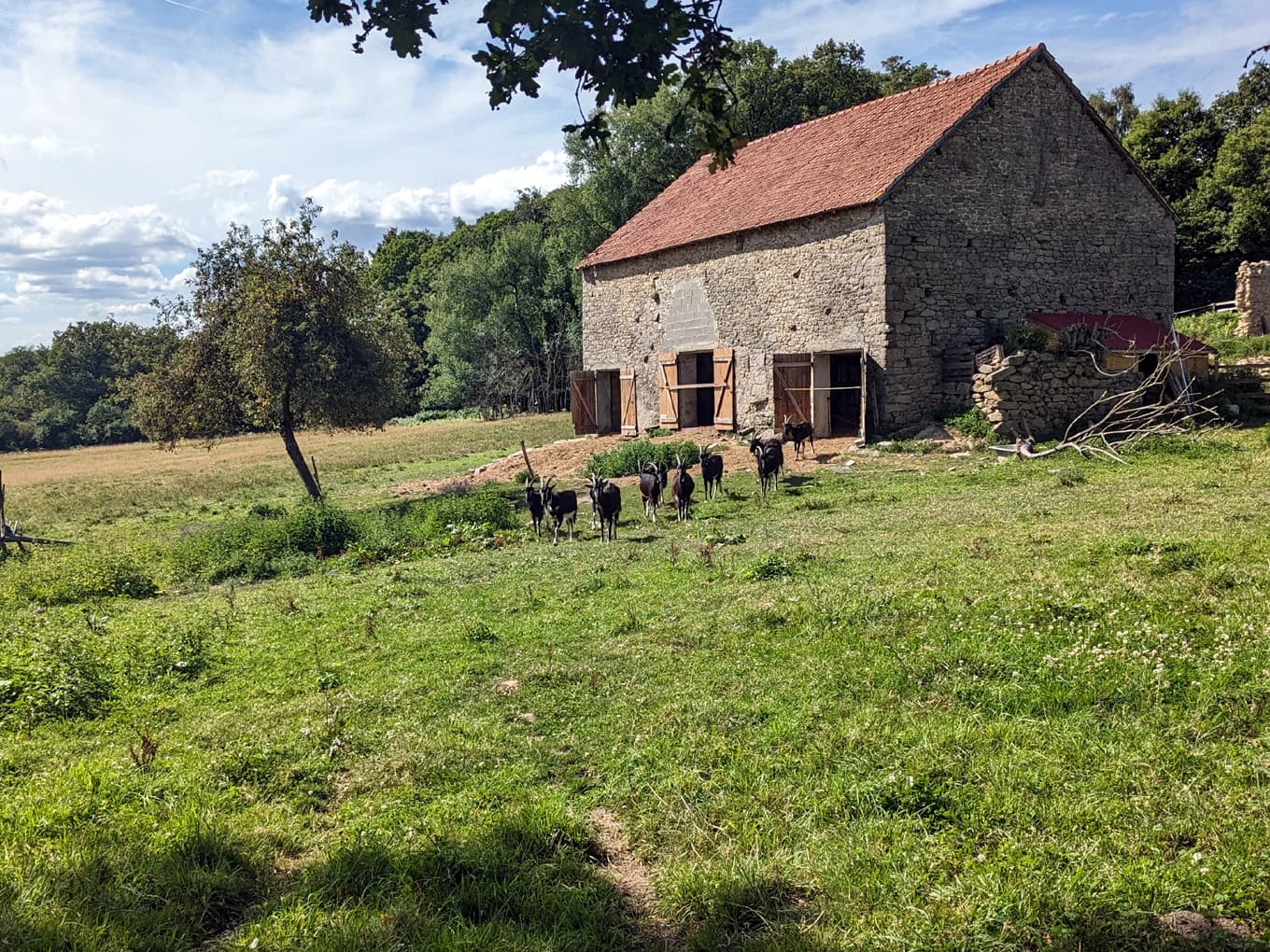 Chèvrerie du Poney Fringant