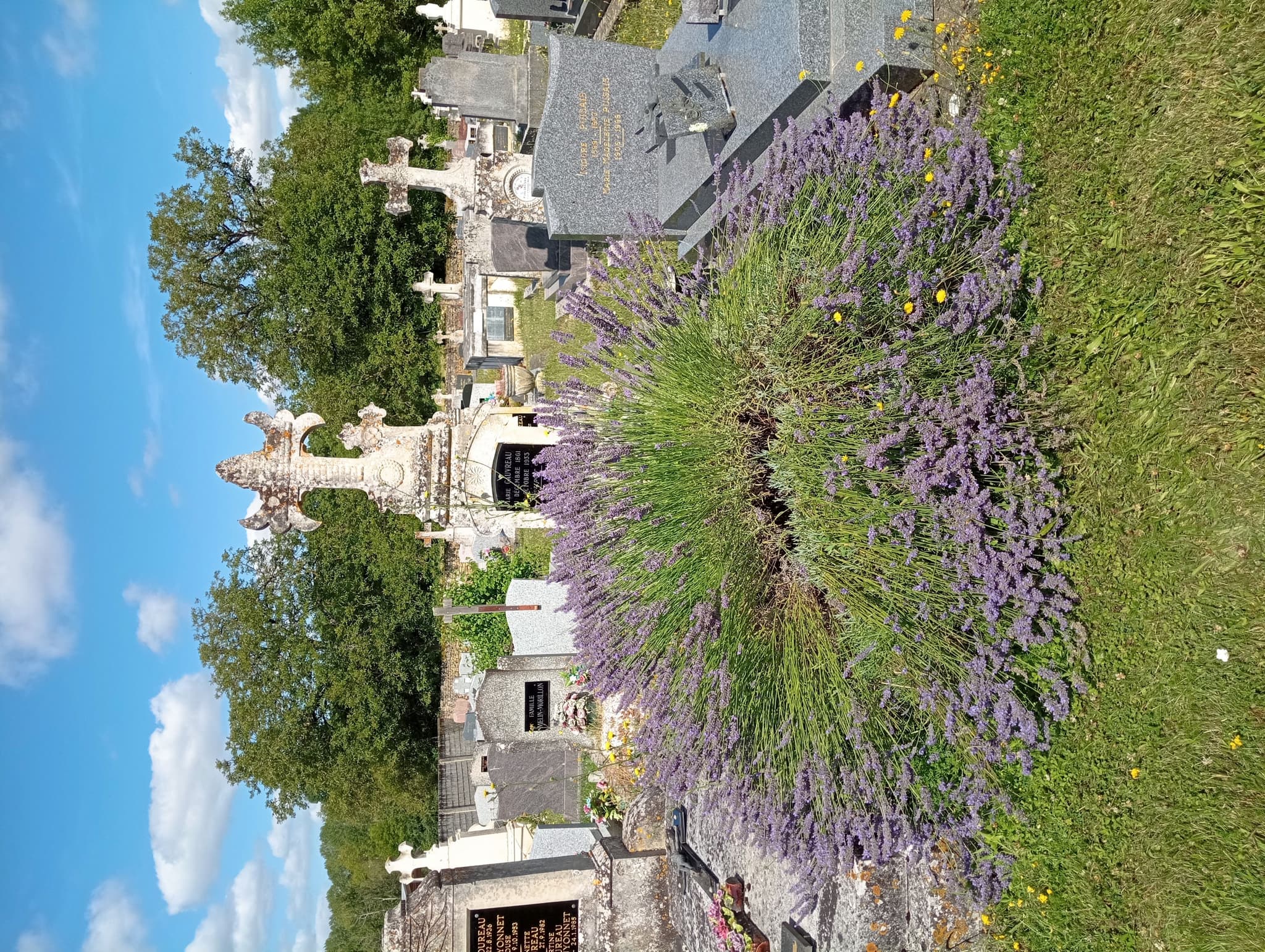 cimetière