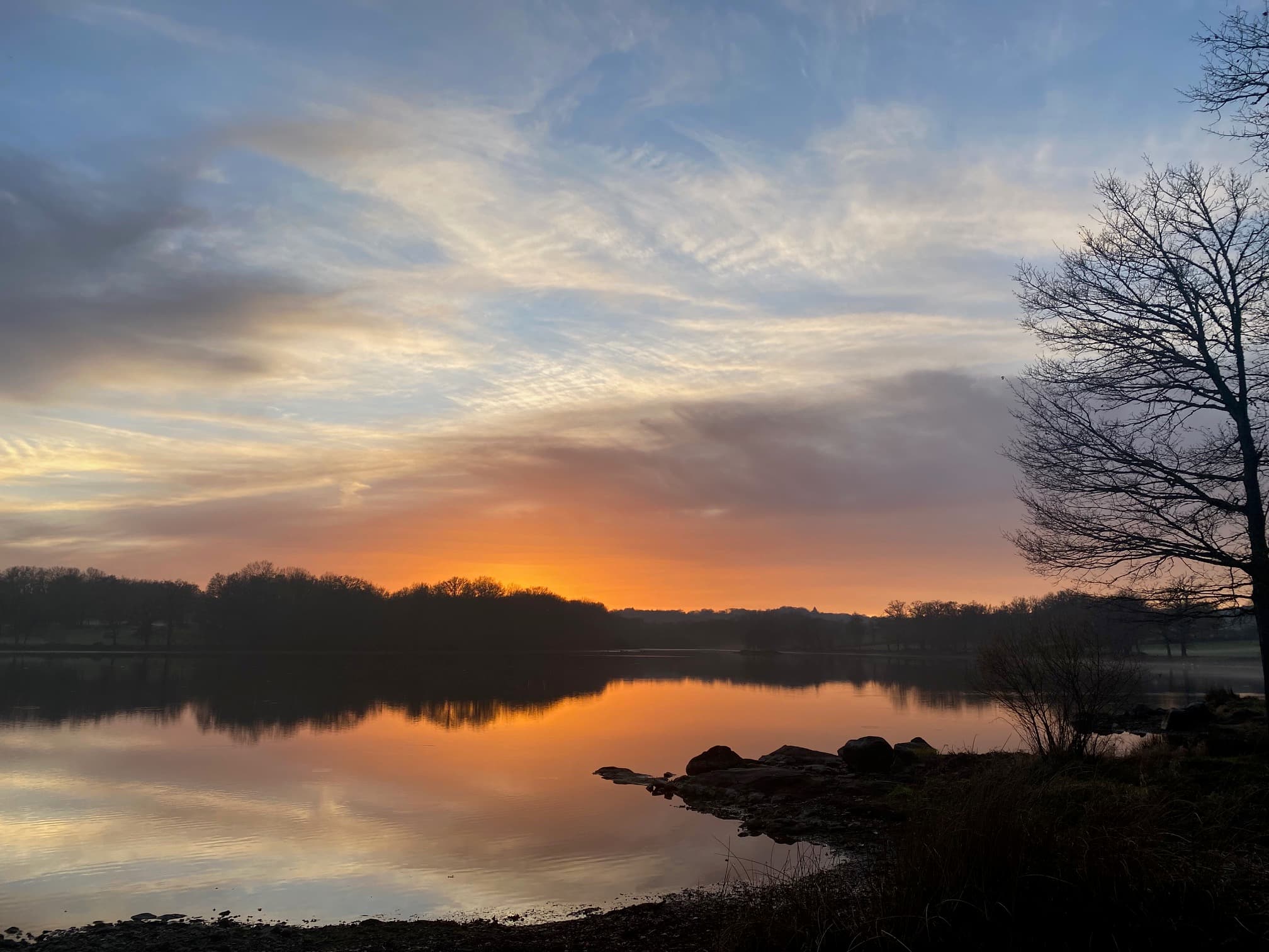 Coucher de soleil sur l'étang