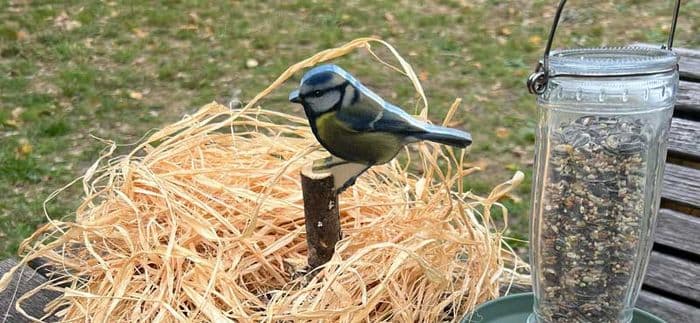 coup-de-pouce-aux-oiseaux-destination-agen-tourisme