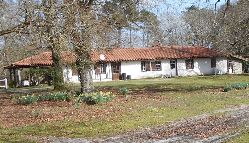 dartenucq ext