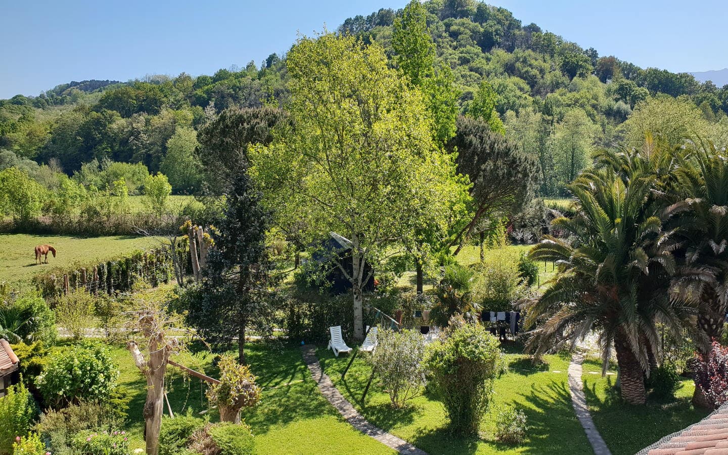 Jardin