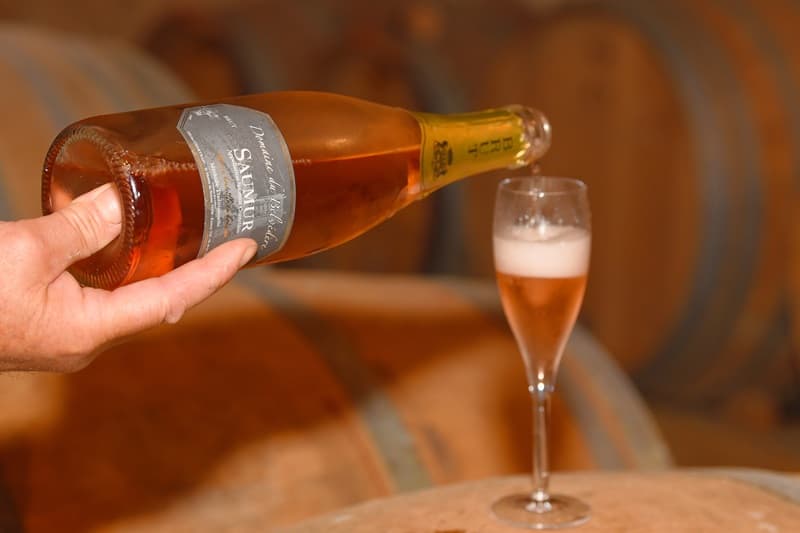 Domaine Belvedere Viticulteur vins degustation St martin Sanzay Thouarsais