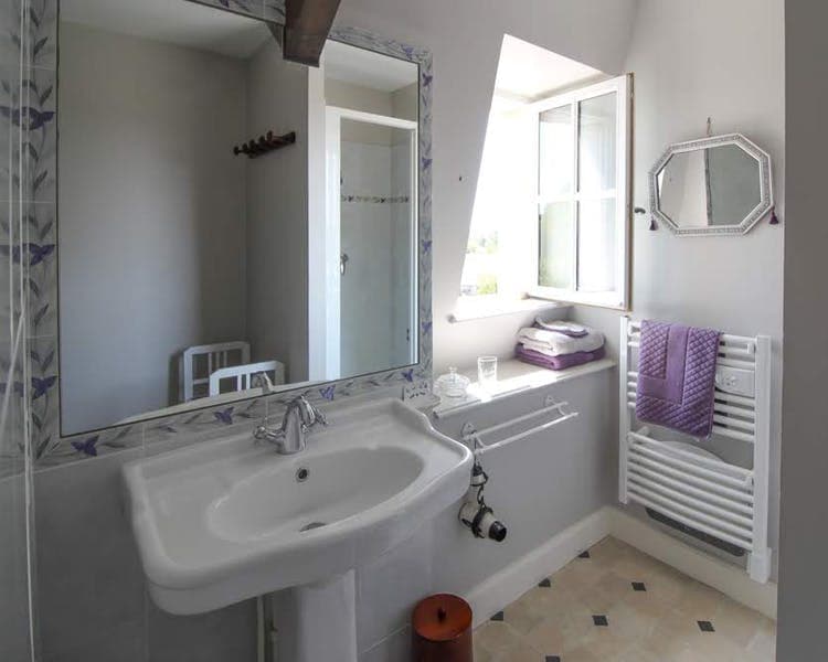Salle de douche/En-suite shower room