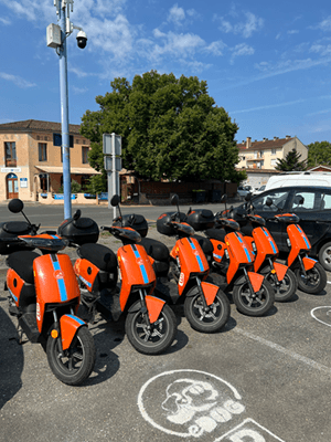 eDOG - GARE DE TONNEINS
