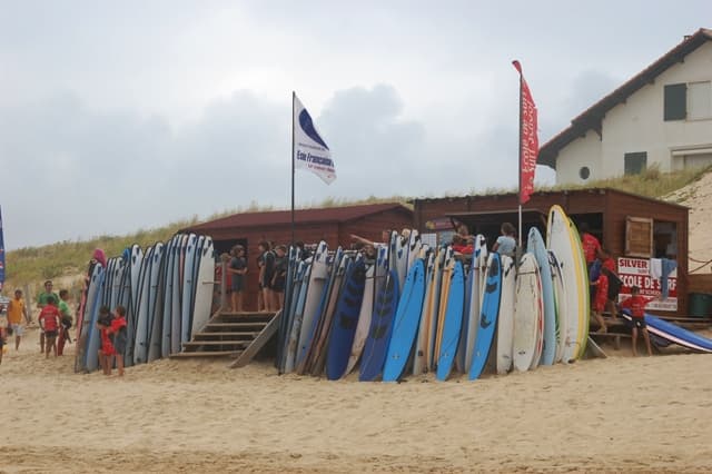 ecole surf Silvercoast