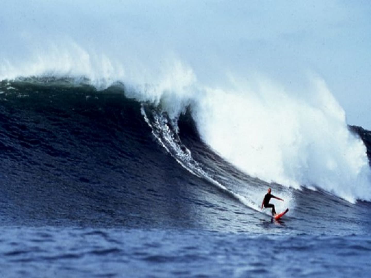 ecole-surf-reinhardt3