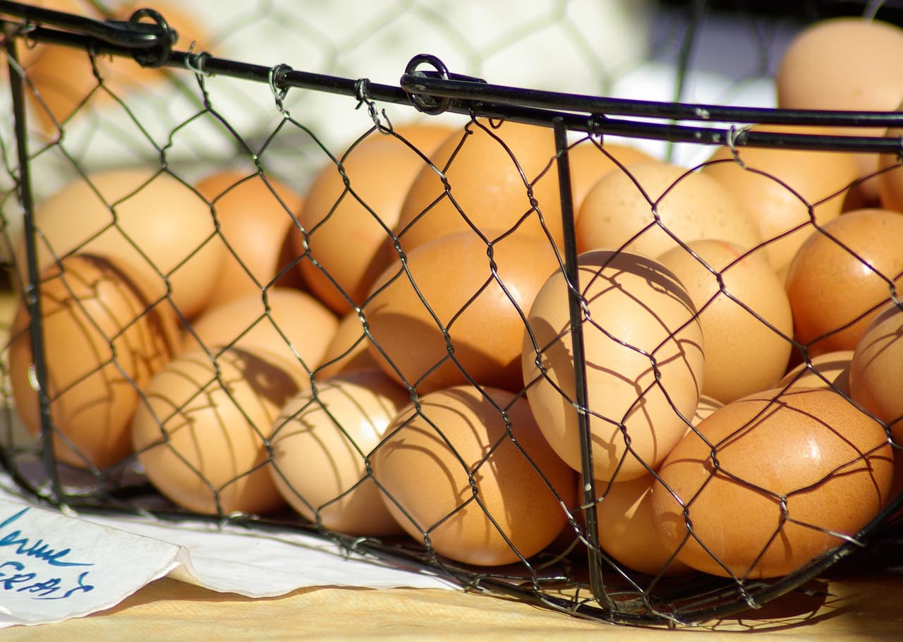Oeufs