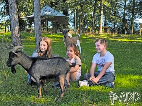 enfants_bouc_papp