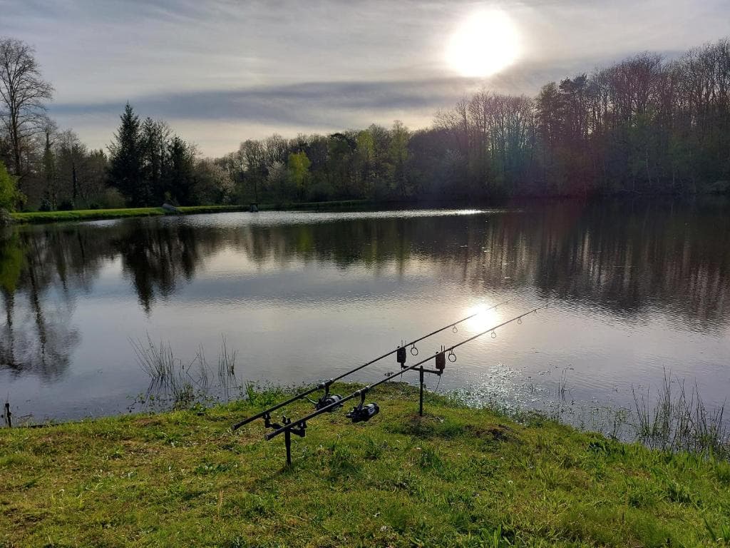 etang-pêche