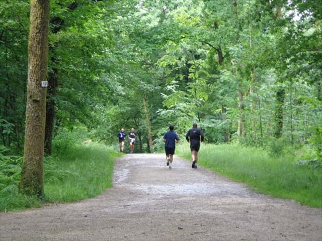Bois de la Bastide_1