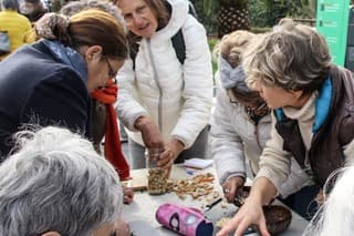 Marlene Homate Hendaye Groupe