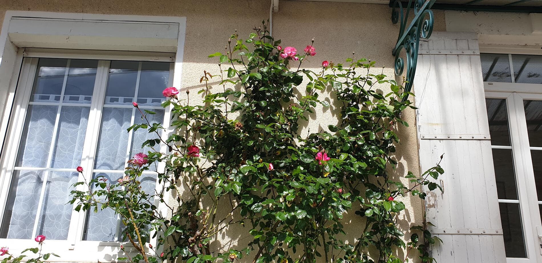facade