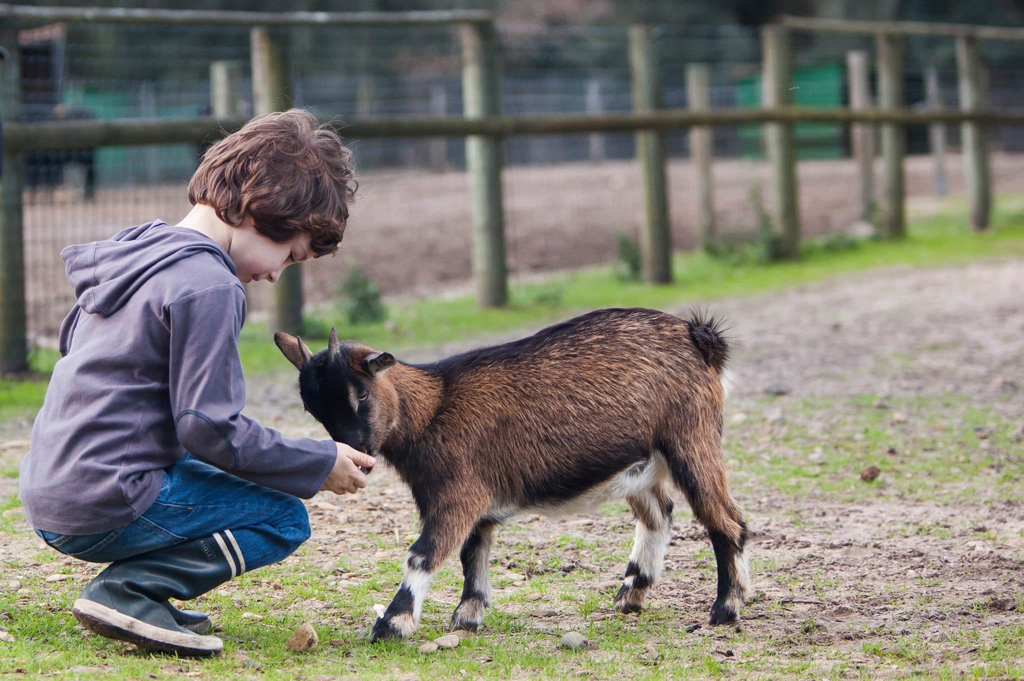 ferme ellia