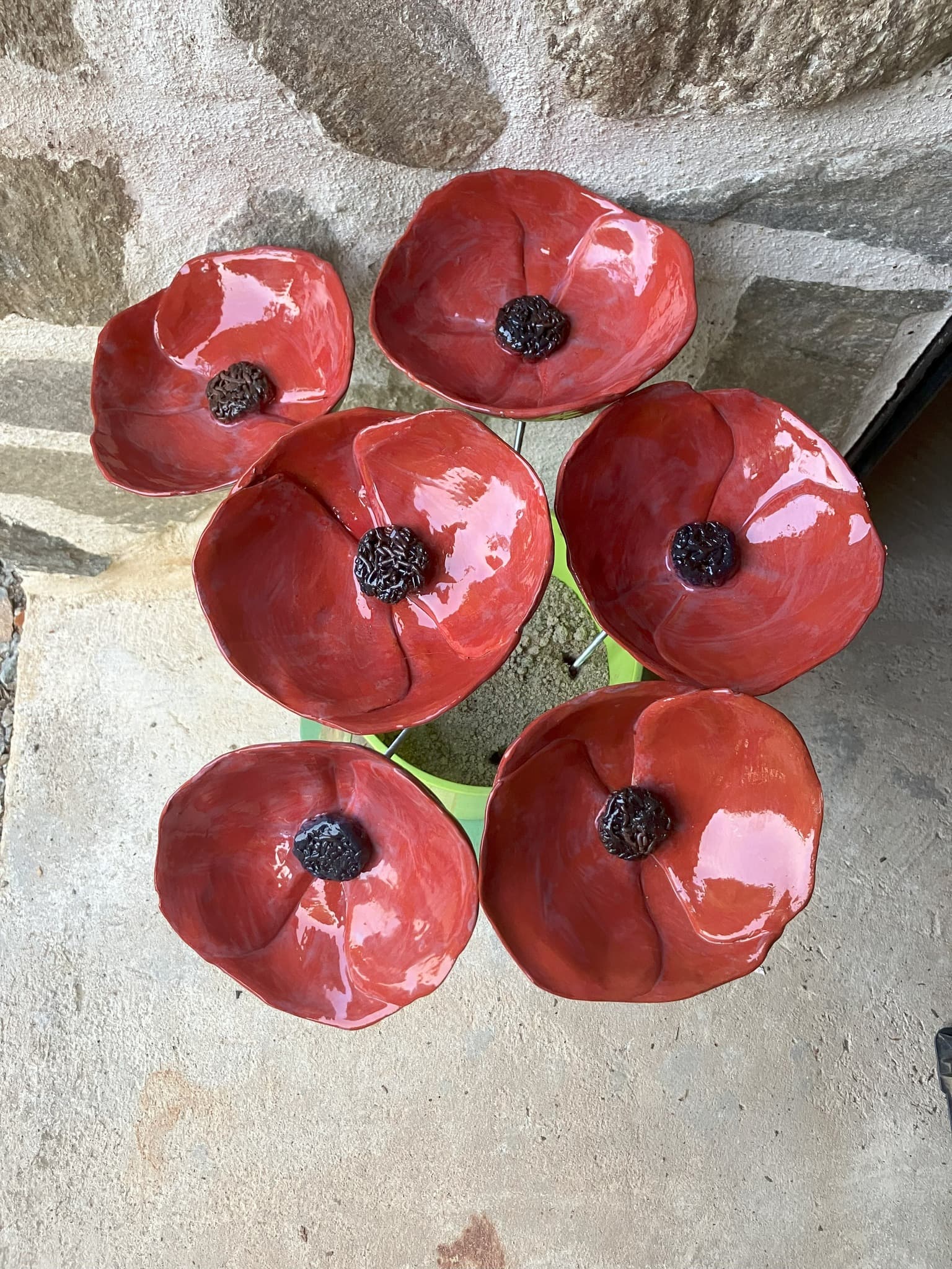 fleurs rouge