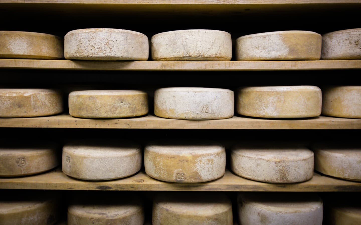 Séchoir fromages