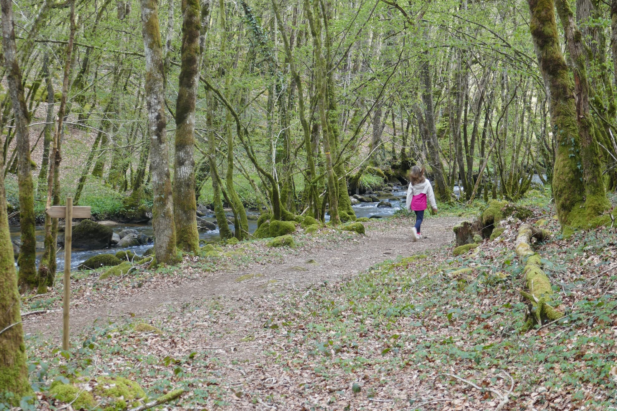 Géocaching à l'ombre en Limousin