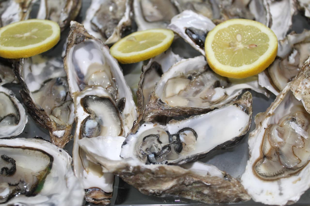 gigiisprod-oyster