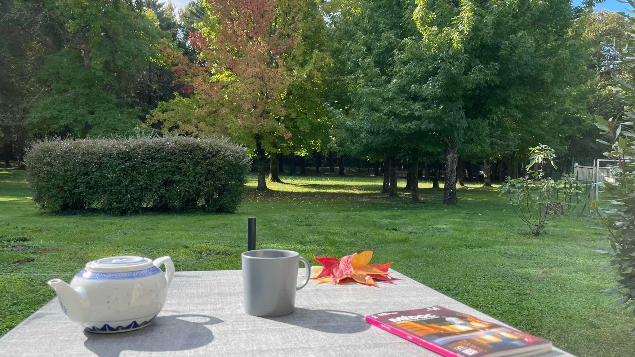 gite-chai-ludeye-gouter-jardin -