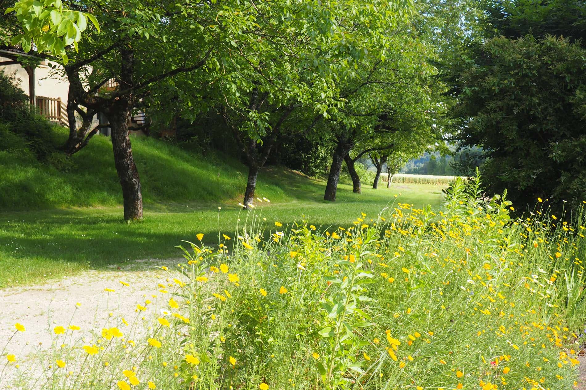 gite-de-groupe-Les Cinq Chateaux - Vezac (7)