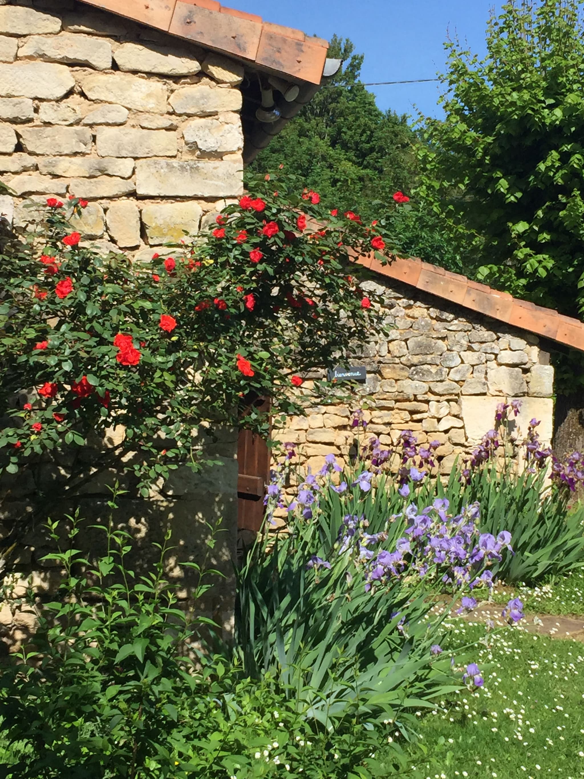 Gîte nature du domaine de Puy le Comte_10